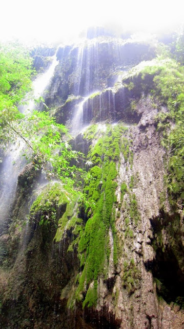 Tumalog Falls, Oslob, Cebu