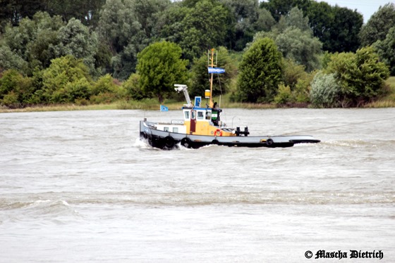 De Betuwe 22 Juni 2013 017a