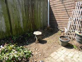 Parkdale Spring Backyard Garden Cleanup After by Paul Jung Gardening Services a Toronto Gardening Company