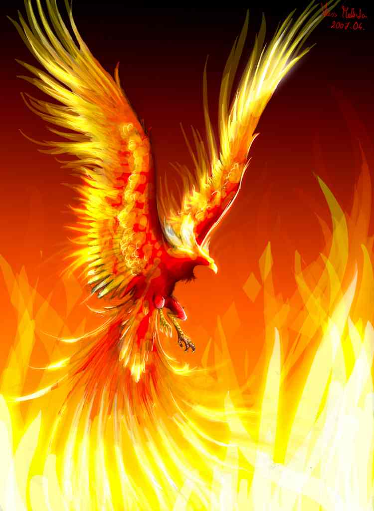 Red golden phoenix is born Burning past falls Rising from ashes