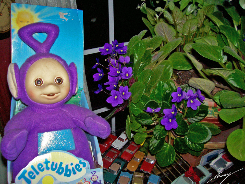 Tinky Winky's new beginning