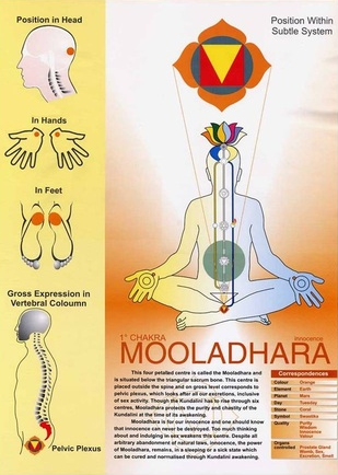 How to Awaken Muladhara Energy Center