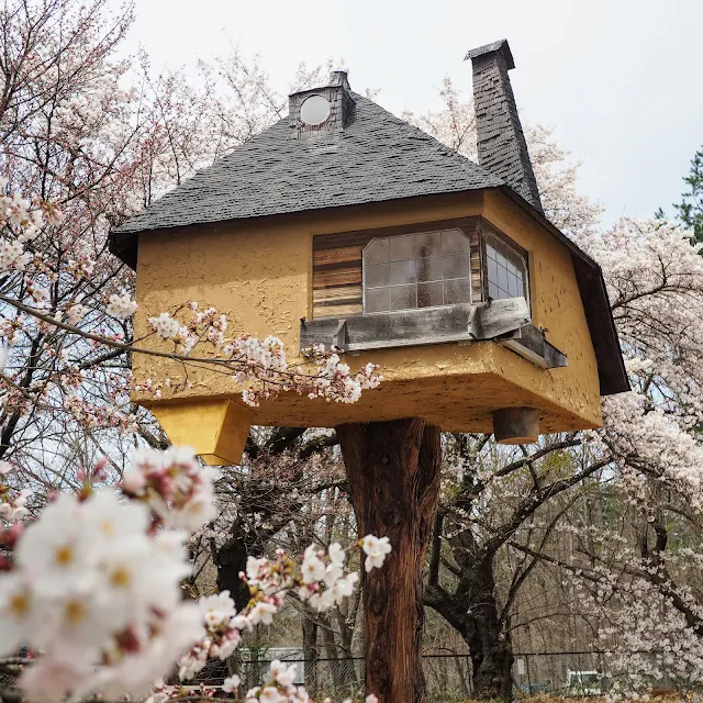 清春芸術村　茶室　徹　藤森照信