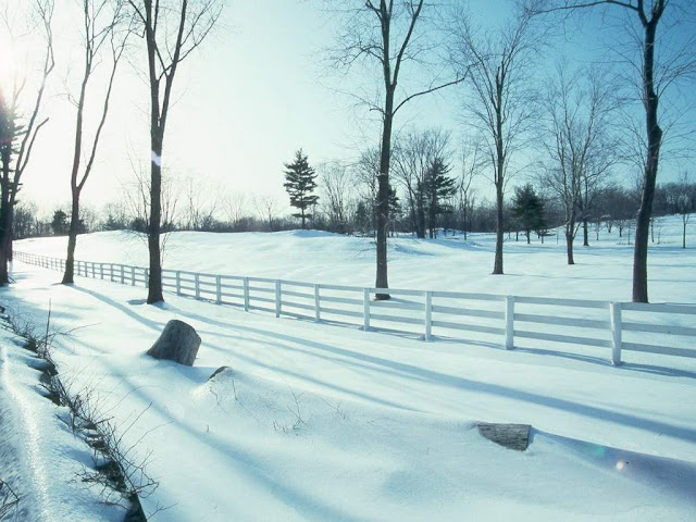 Winter wallpapers snowy road