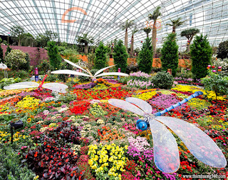 Flower Dome Singapore - Mái vòm hoa 