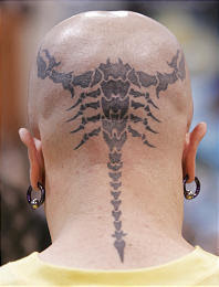 Scorpion Tattoos in Head
