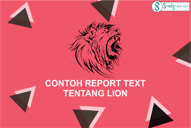 Contoh Report Text Tentang Lion dan Terjemahan