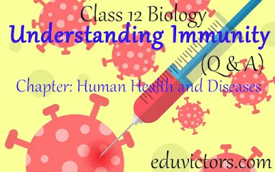 Class 12 - Biology - Understanding Immunity (Q & A) - Chapter: Human Health and Diseases (#class12Biology)(#cbsenotes)(#eduvictors)(#immunity)