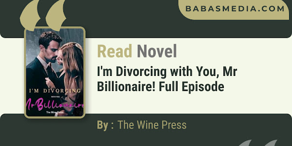 I'm Divorcing with You, Mr Billionaire! Novel By The Wine Press / Read and Synopsis