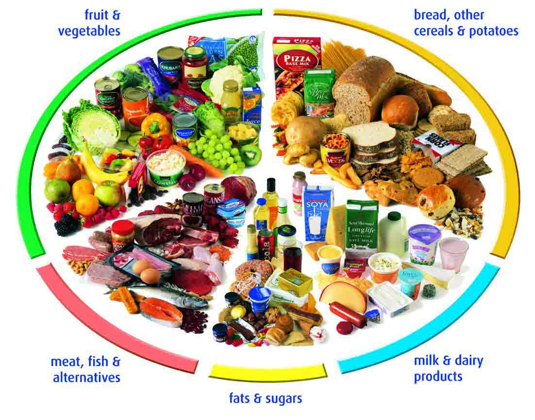 Nutrition: Nutritious Food Types Information