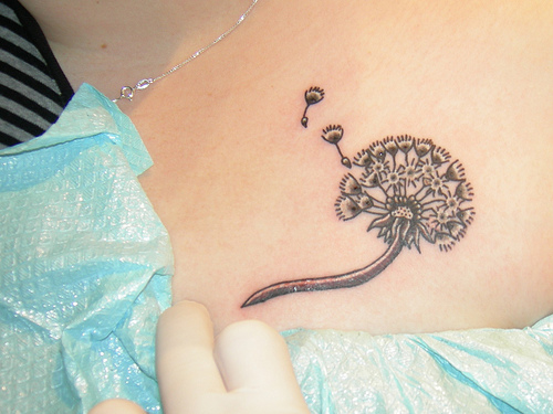 Dandelion Flower Tattoos Designs