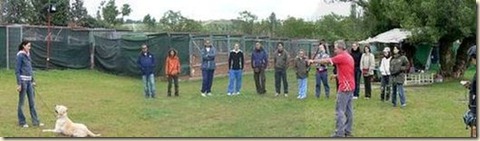 Escuela de Adiestramiento Canino en Madrid8