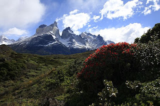 Cuernos del Paine