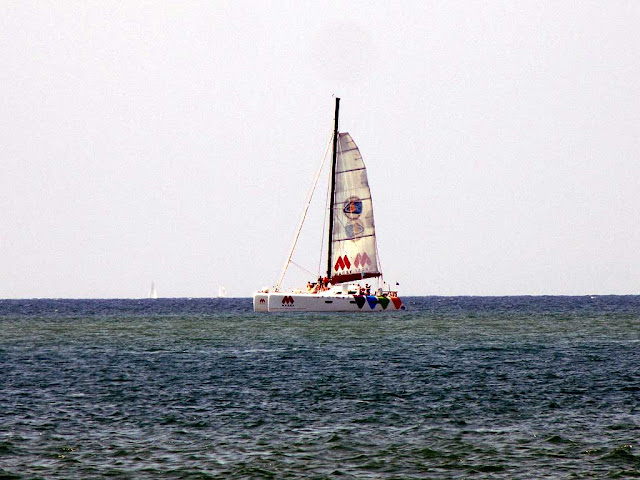 Catamarano Baies du Monde, porto di Livorno