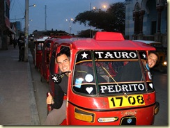 Pisco (7)