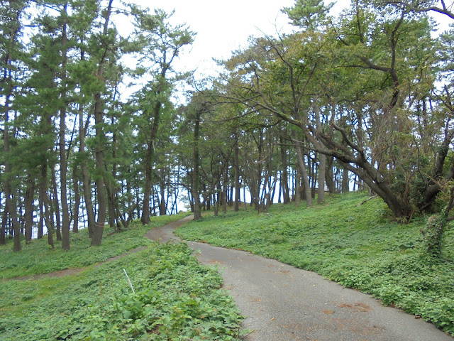 東尋坊の遊歩道を帰ります