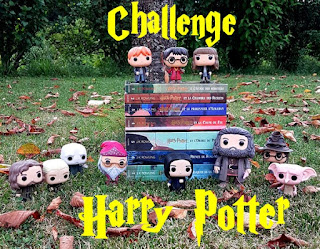 http://twogirlsandbooks.blogspot.fr/2017/07/challenge-relecture-harry-potter.html