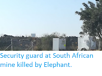 https://sciencythoughts.blogspot.com/2019/06/security-guard-at-south-african-mine.html