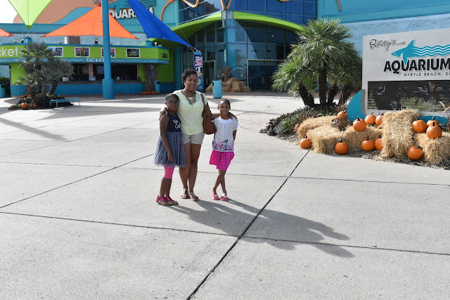 Fall in Love with Myrtle Beach  via  www.productreviewmom.com