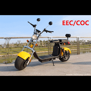 EEC approval citycoco electric scooter Rooder city coco r804r from harley el scooter company Rooder
