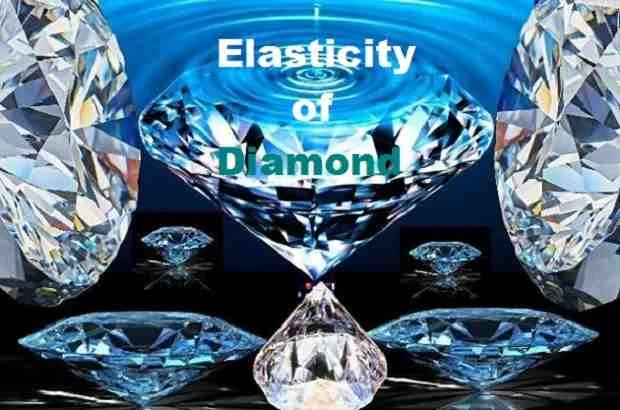 Elasticity of Diamond