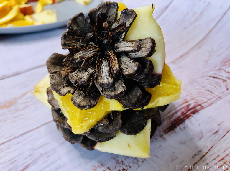 diy bird feeder with pine cone