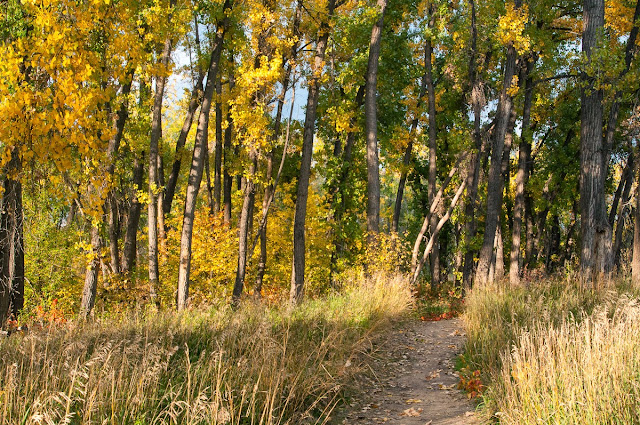 Chatfield State Park