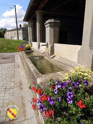 REPEL (88) - Le lavoir (XIXe)