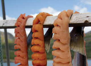 Nunavut Food Culture