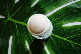 Topicil clindamycin phosphate topical solution