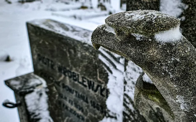 Toruń i jego mieszkańcy wobec powstania styczniowego