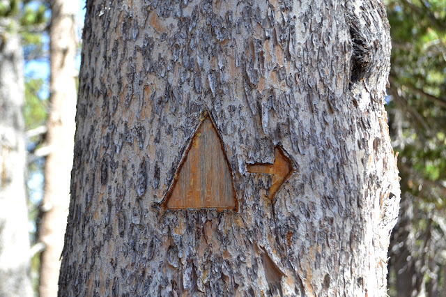 triangle and arrow cut in a tree