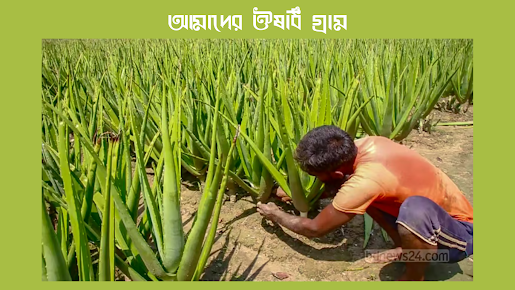 আমাদের ঔষধি গ্রাম