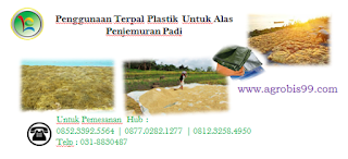 Terpal Plastik Untuk Tenda, Manfaat Terpal Plastik, jual terpal plastik berbagai ukuran