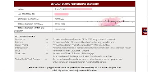semakan br1m online 2018
