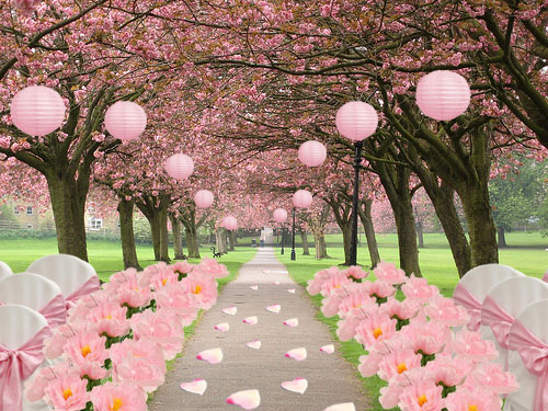 What I absolutely go gaga with the theme Cherry Blossomflower is of 