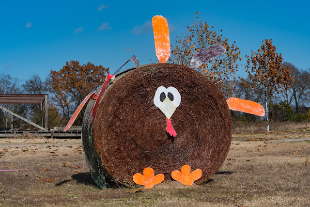 Turkey Hay Bale, Mt. Vernon, TX