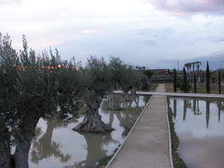 Parque del Agua (Luis Buñuel) olivos Crecida del río Ebro 22/01/2013 Zaragoza