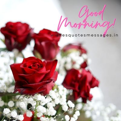 roses with good morning