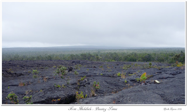 From Huluhulu: Passing Times