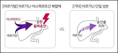 아르기닌-아스파르트산-효능-설명-이미지