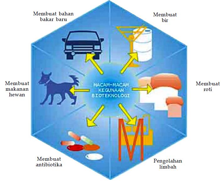 Pengertian dan Manfaat Bioteknologi serta Contoh Produk 