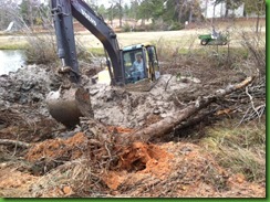 photo3