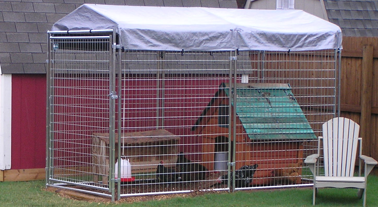 This was their "starter home" - dog house and old dog kennel)