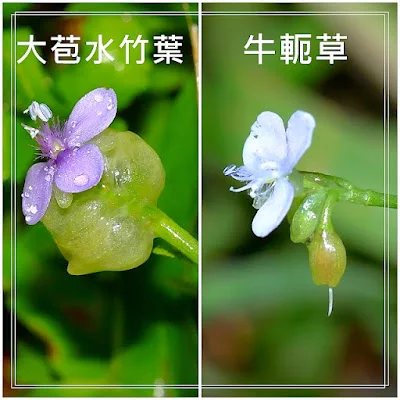 https://malaysiawriting.blogspot.com