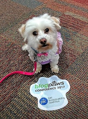 Blogger Tips on working with the brands you love from BlogPaws presentation by Bryn Nowell and Alison Reder