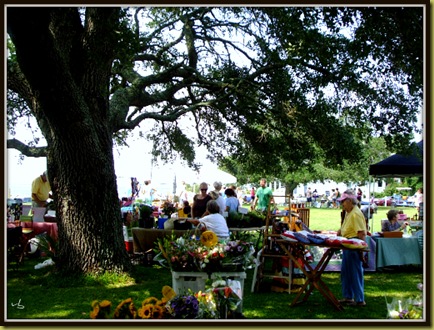 Waterfront Market_516