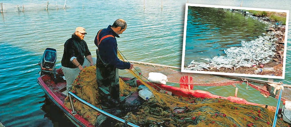 Τοξική βόμβα στη Βιστωνίδα καταστρέφει το περιβάλλον και τους ψαράδες