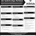 Maga Construction- Vacancy