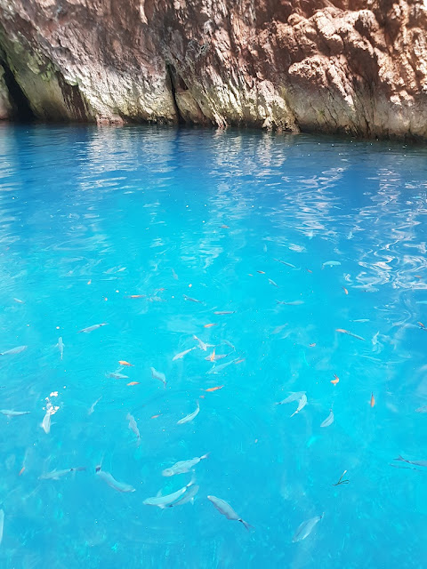 riserva naturale di scandola corsica